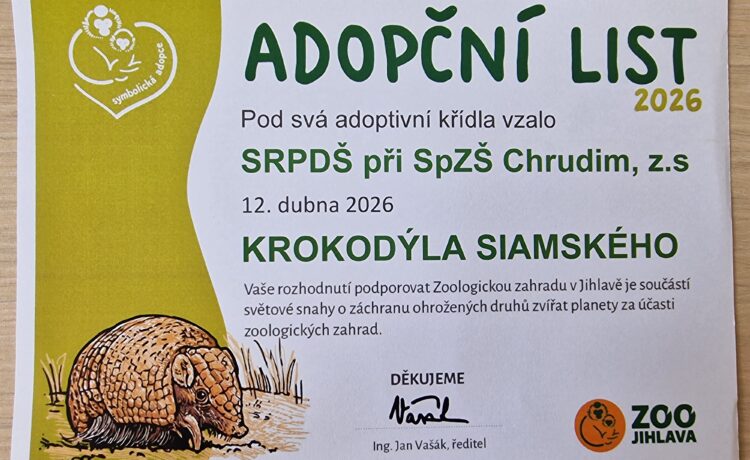 Adopce krokodýla