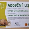 Adopce krokodýla